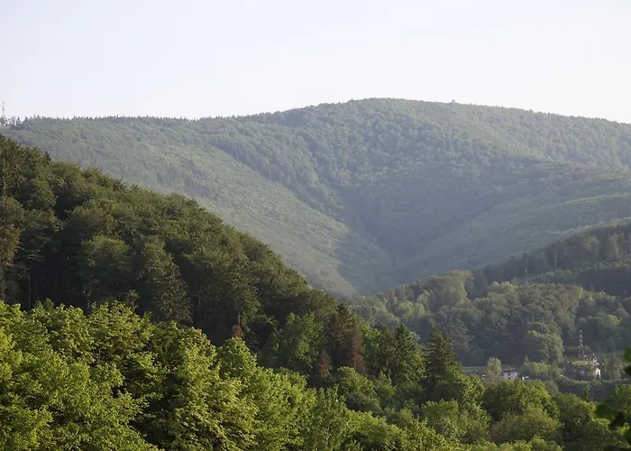 Bed & Breakfast Milezowka - Noclegi&spa 3*